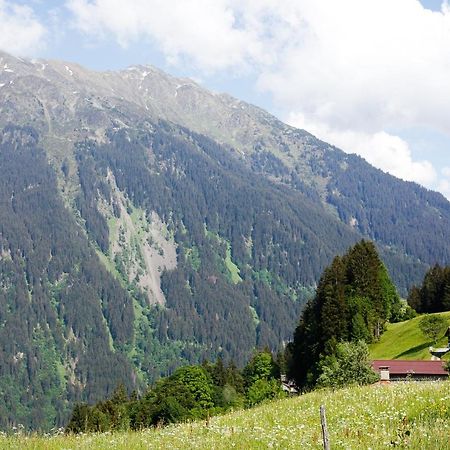 Alpenapart Montafon - Bitschweil Huesle Βίλα Schruns Εξωτερικό φωτογραφία